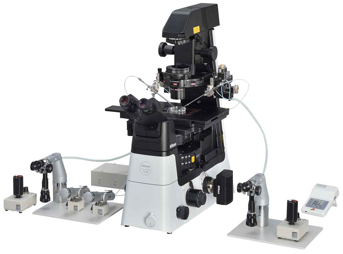 Micromanipuladores