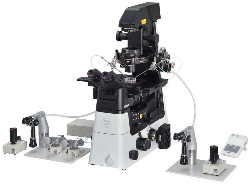 Micromanipuladores