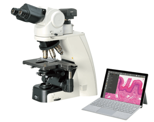 Microscopio Vertical Eclipse Ci