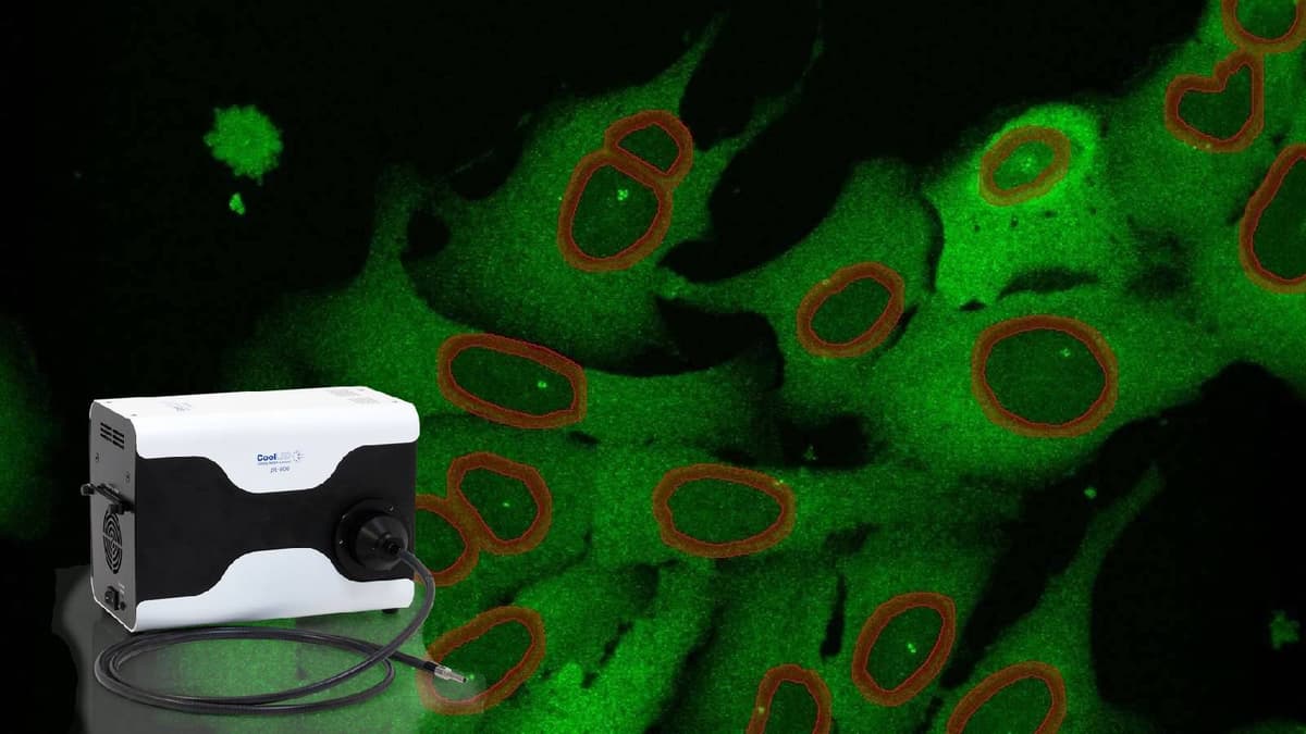 Microscopía de fluorescencia: principios básicos y aplicaciones en investigación