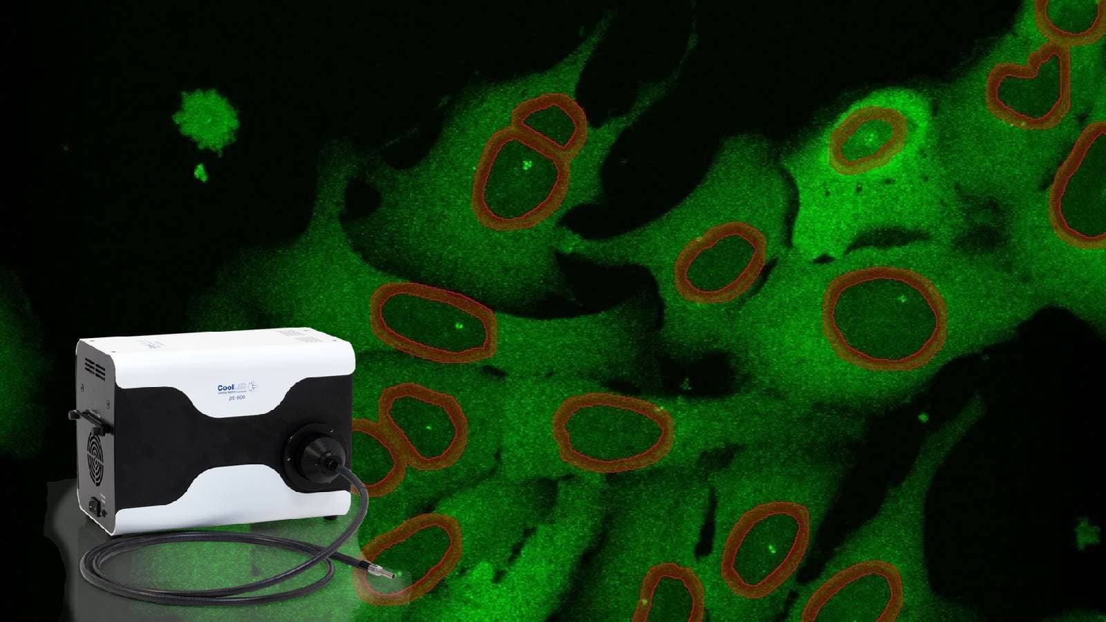 Microscopía de fluorescencia: principios básicos y aplicaciones en investigación
